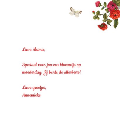Moederdagkaart met kitten in rood bloemenveld 3