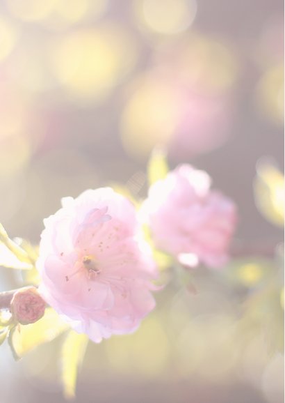 Moederdagkaart met roze bloemen 2