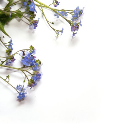 Moederdagkaart paarse bloemen 2