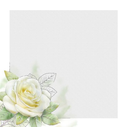 Mooie bedankkaart met een witte roos met zilverlijn 2