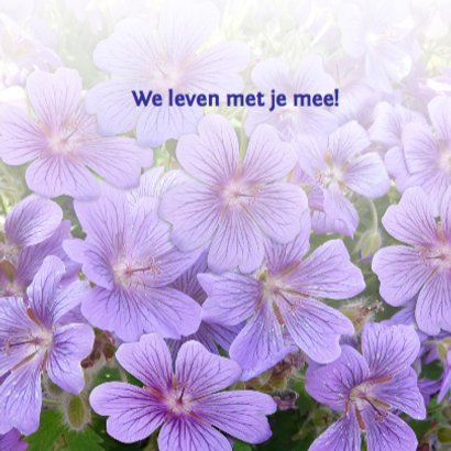 Mooie beterschapskaart bloemen, hart met kaartje purper 3