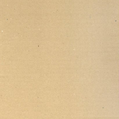 Mooie beterschapskaart wilde en witte rozen voor de zieke 2
