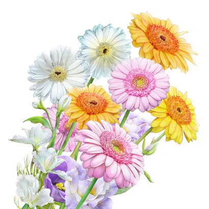 Mooie bloemenkaart met getekende Gerbera's in waterverf 2