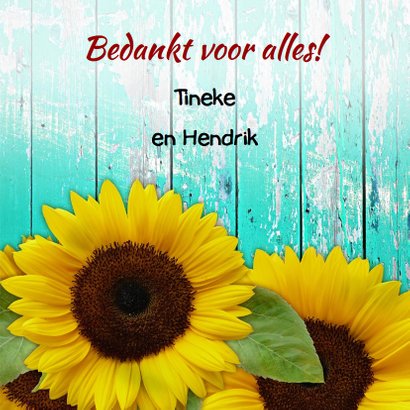 Mooie bloemenkaart Zonnebloemen op schutting 3