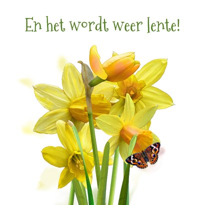 Mooie paaskaart met narcissen in waterverf 2