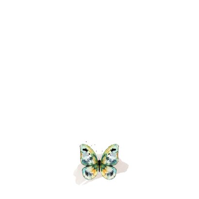 Mooie rouwkaart kleurrijke vlinder waterverf foto Achterkant