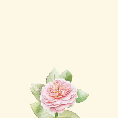 Mooie verjaardagskaart met 3 perzik-kleurige rozen 2