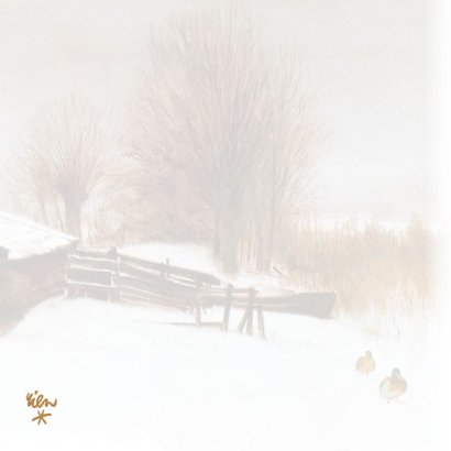 Natuurkerstkaart met wintertafereel 'Eenden in de sneeuw' 2