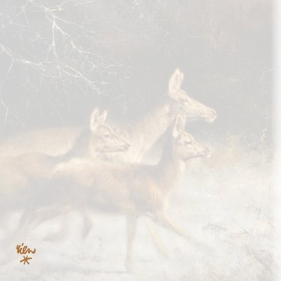 Natuurkerstkaart met wintertafereel 'Herten in donker bos' 2