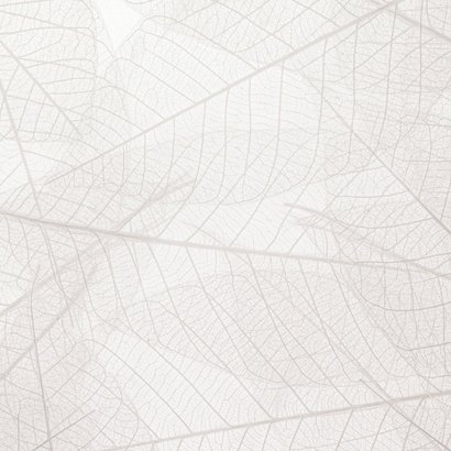 Natuurlijke rouwkaart bladnerven kader wit Achterkant