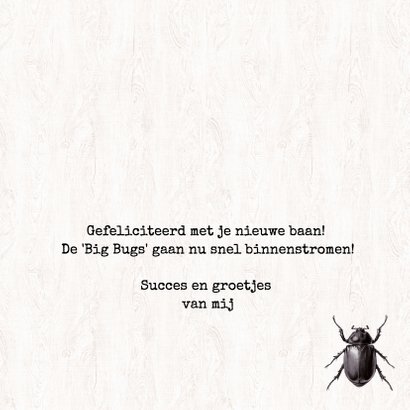 Nieuwe baan - MAKING THE BIG BUGS! 3