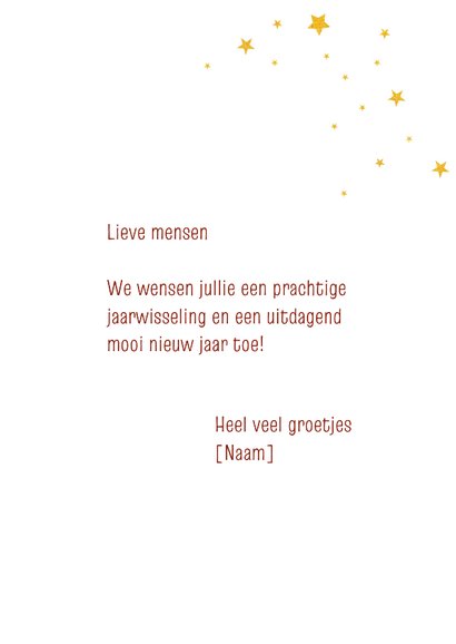 Nieuwjaar jump into 2027 3