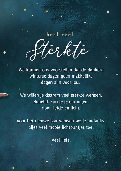 Nieuwjaars sterkte kaart met vogel lichtpuntje voor jou 3