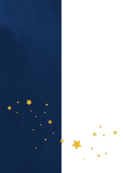 Nieuwjaarskaart 'de allerbeste wensen' 2