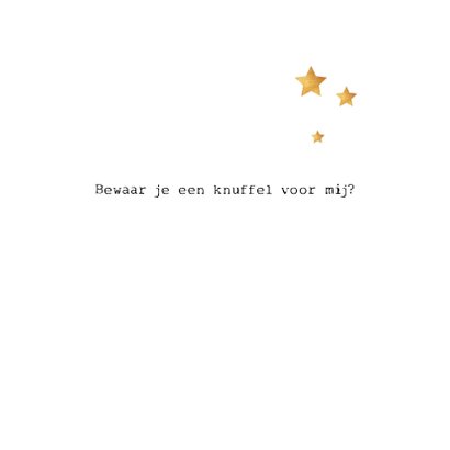 Nieuwjaarskaart : een knuffel in het nieuwe jaar 2