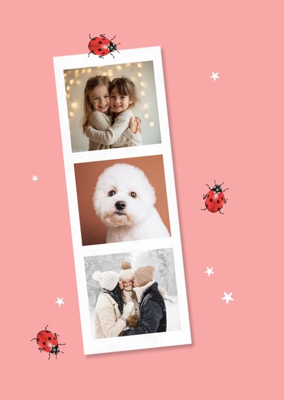 Nieuwjaarskaart geluk fotocollage lieveheersbeestjes sterren 2