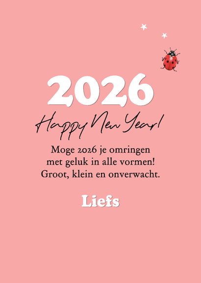 Nieuwjaarskaart geluk fotocollage lieveheersbeestjes sterren 3