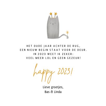 Nieuwjaarskaart happy meow year met foto en kat 3