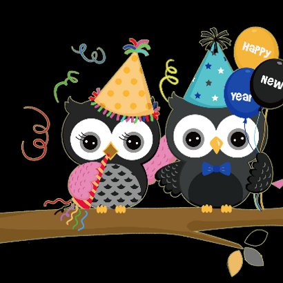 Nieuwjaarskaart Happy new year - uilen vierkant 2