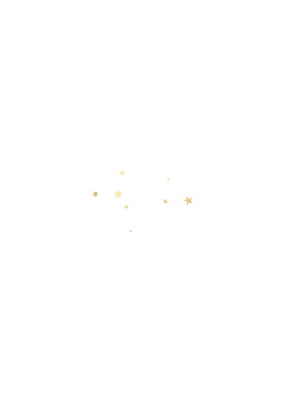 Nieuwjaarskaart illustratie champagne sterren 2027 Achterkant