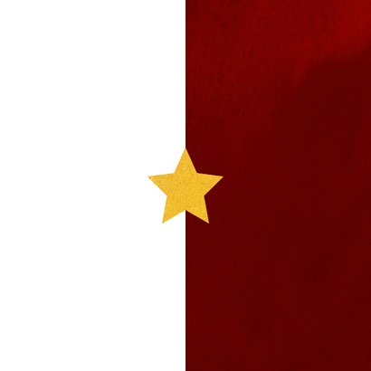 Nieuwjaarskaart 'Jouw wensen voor 2026 zijn mijn wensen' Achterkant