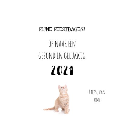 Nieuwjaarskaart kat kitten klaar met 2020 3