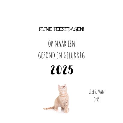 Nieuwjaarskaart kat kitten klaar met 2024 3