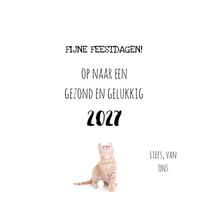 Nieuwjaarskaart kat kitten klaar met 2026 3