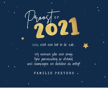 Nieuwjaarskaart kat poes sterren oliebollen illustratie 2021 3