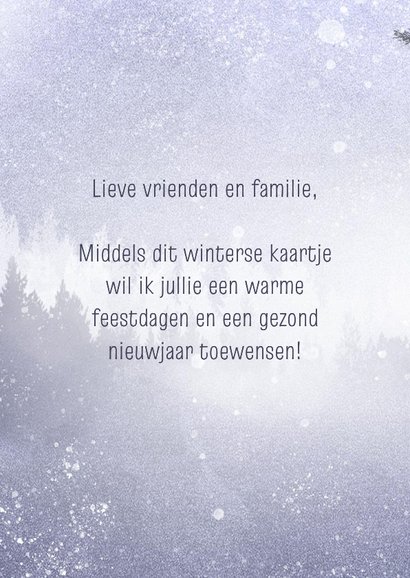 Nieuwjaarskaart label 2026 blauw winter 3
