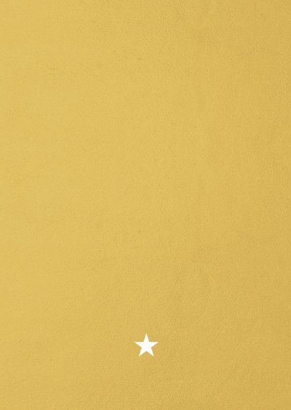 Nieuwjaarskaart met foto staan - happy new year! Achterkant