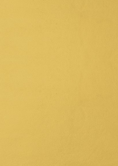 Nieuwjaarskaart met grote foto en wit met gouden confetti Achterkant