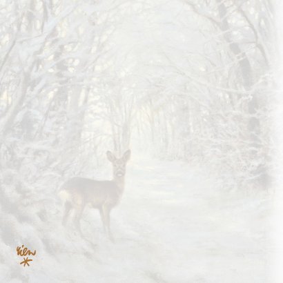 Nieuwjaarskaart met wintertafereel Hert in bos 2