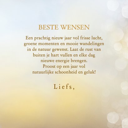 Nieuwjaarskaart roodborst 3