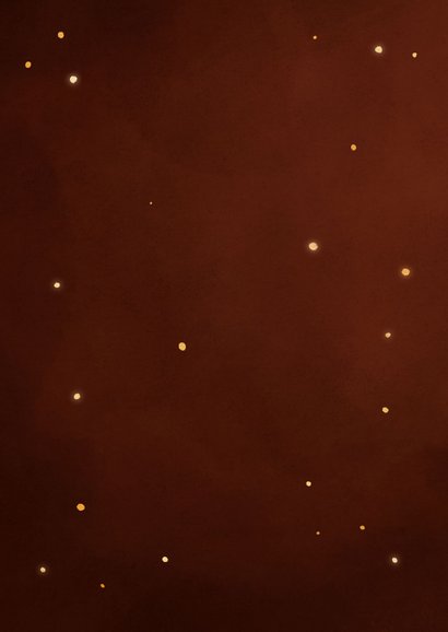 Nieuwjaarskaart roodborstje met lampjes lichtpuntjes  Achterkant