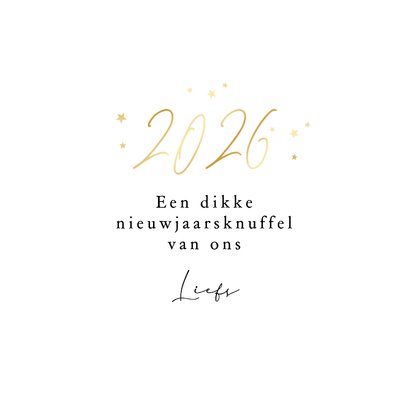Nieuwjaarskaart sterretjes sprankelend foto goud 2026 3