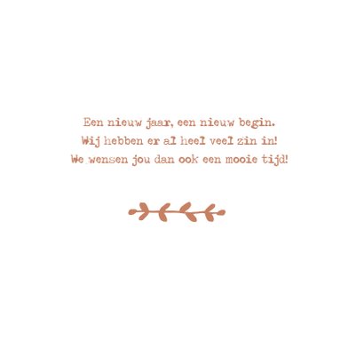 Nieuwjaarskaart takjes - HM 3