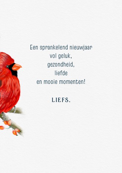 Nieuwjaarskaart vogel rode kardinaal 3