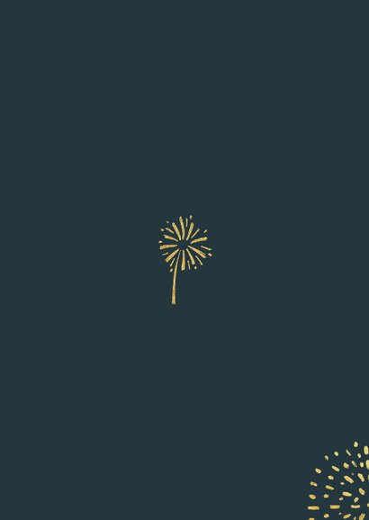 Nieuwjaarskaart vuurwerk goud 2024 foto lichtpuntjes Achterkant