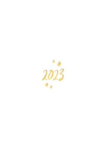 Nieuwjaarskaart zakelijk 2024 goud foto sterretjes Achterkant