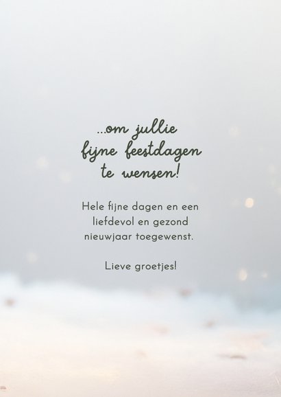 Nieuwjaarskaartje schattig muisje piepklein berichtje 3