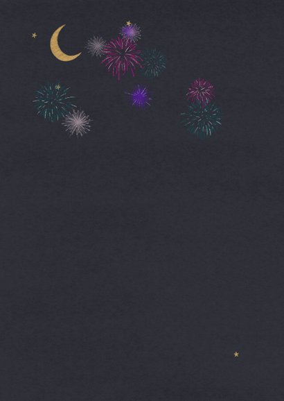 Nieuwsjaarskaart - Sneeuwbol met vuurwerk 2