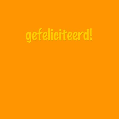 Nijlpaard en feestvarken 3