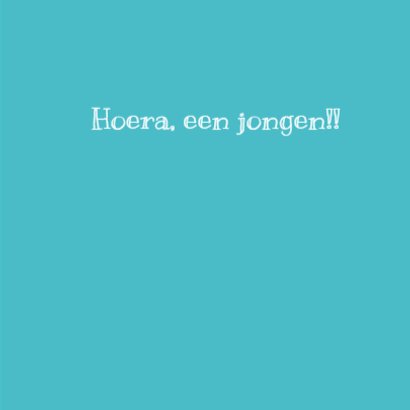 Olifant, ruitje, vogeltje, blauw 3
