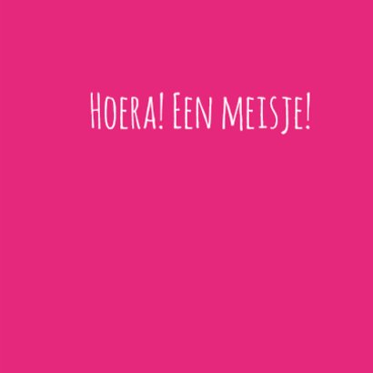 Olifant, ruitjes, vogeltje, roze 3