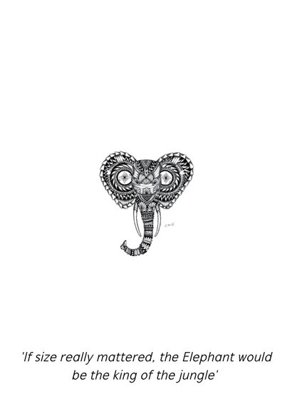 Olifant zwart/wit illustratie 2