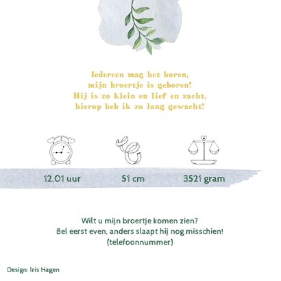 Olifantjes op avontuur op geboortekaartje broertje 2