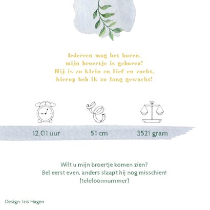 Olifantjes op avontuur op geboortekaartje broertje 2