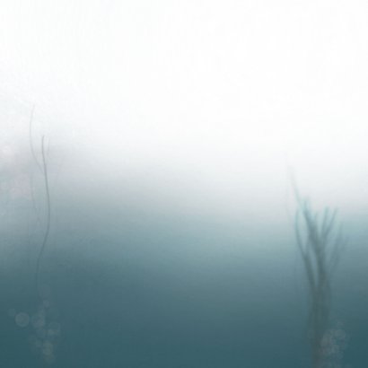 onderwater geboortekaart met waterverf Achterkant
