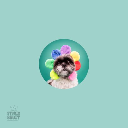 Opfleurende hondenkaart van boomer hond met bloemenmuts op 2